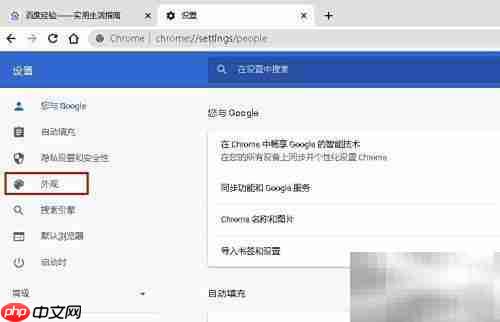 Chrome添加主页按钮教程