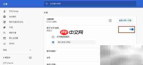 Chrome添加主页按钮教程