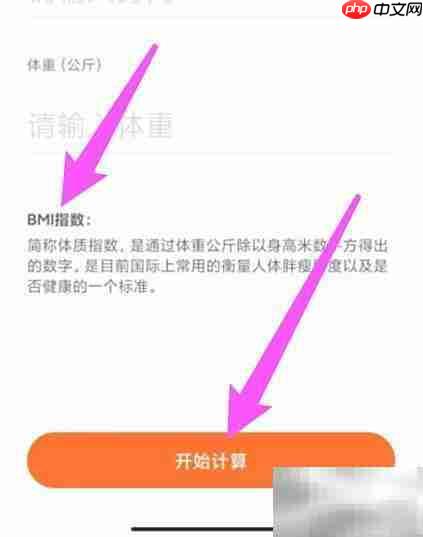 女生BMI计算方法详解