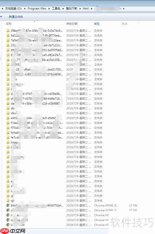 整站下载文件分类技巧