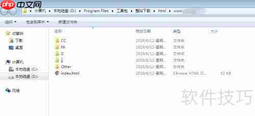 整站下载文件分类技巧