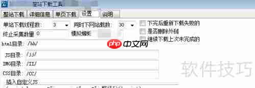 整站下载文件分类技巧