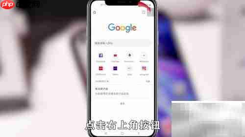 Google浏览器麦克风设置指南