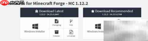 Forge API安装指南