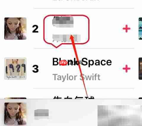Apple Music歌词无法显示