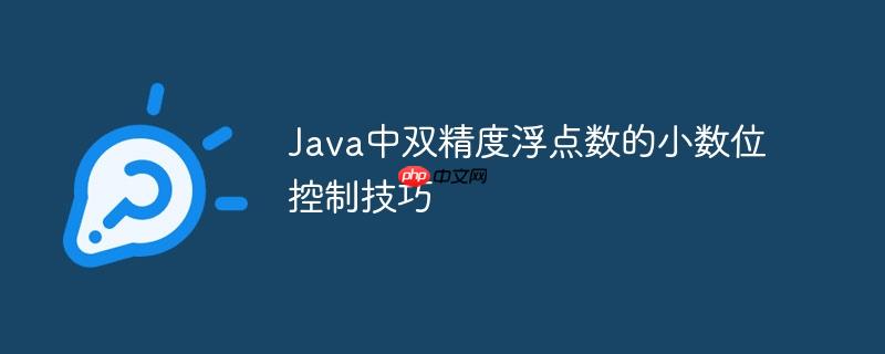 Java中双精度浮点数的小数位控制技巧