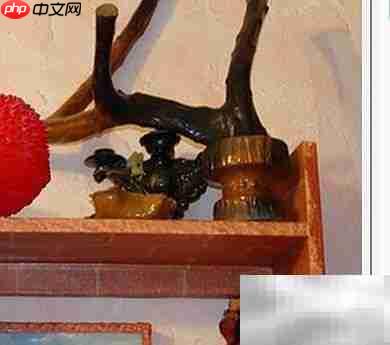 调整图片宽度的简易指南