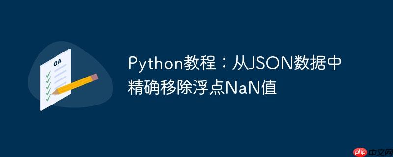 Python教程：从JSON数据中精确移除浮点NaN值