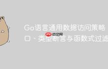 Go语言通用数据访问策略：接口、类型断言与函数式过滤