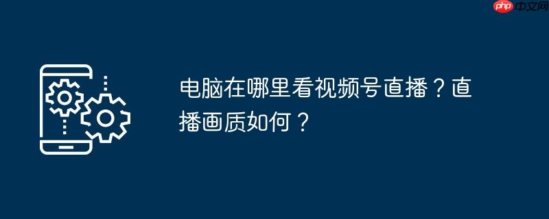 电脑在哪里看视频号直播？直播画质如何？