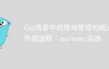 Go语言中优雅地管理和终止外部进程：os/exec实战