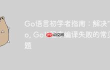 Go语言初学者指南：解决“Hello, Go!”程序编译失败的常见问题