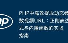PHP中高效提取动态参数视频URL:正则表达式与内置函数的实战指南