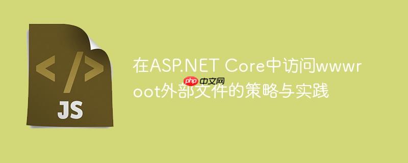 在ASP.NET Core中访问wwwroot外部文件的策略与实践