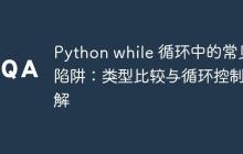 Python while 循环中的常见陷阱:类型比较与循环控制详解