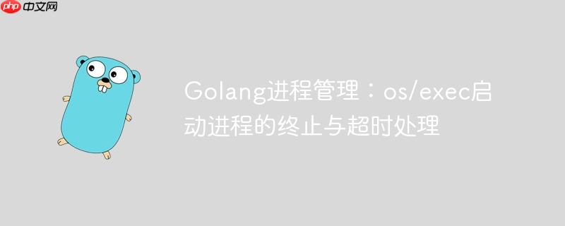 Golang进程管理：os/exec启动进程的终止与超时处理