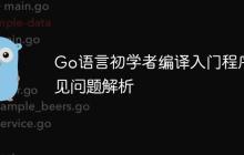 Go语言初学者编译入门程序常见问题解析