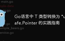 Go语言中 T 类型转换为 *unsafe.Pointer 的实践指南