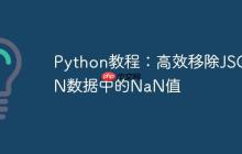 Python教程:高效移除JSON数据中的NaN值
