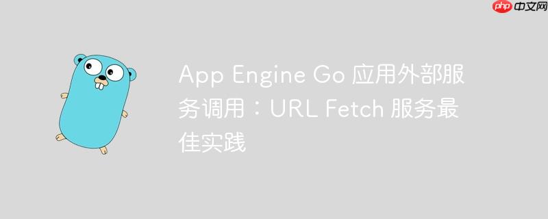App Engine Go 应用外部服务调用：URL Fetch 服务最佳实践