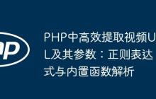 PHP中高效提取视频URL及其参数:正则表达式与内置函数解析