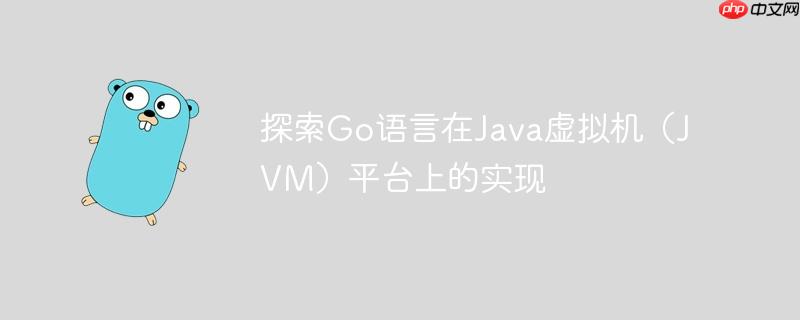 探索Go语言在Java虚拟机(JVM)平台上的实现