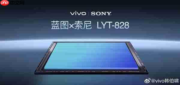 2025最值得推荐的拍照手机:vivo X300 Pro 2亿像素长焦巨出片