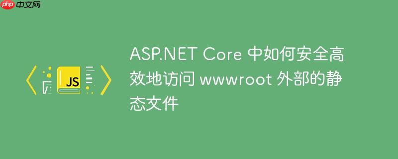 ASP.NET Core 中如何安全高效地访问 wwwroot 外部的静态文件
