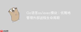 Go语言os/exec模块：优雅地管理外部进程生命周期