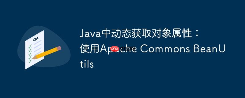 Java中动态获取对象属性：使用Apache Commons BeanUtils