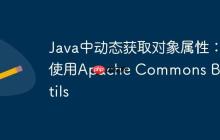 Java中動態(tài)獲取對象屬性：使用Apache Commons BeanUtils