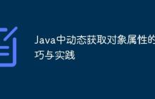 Java中動態(tài)獲取對象屬性的技巧與實踐