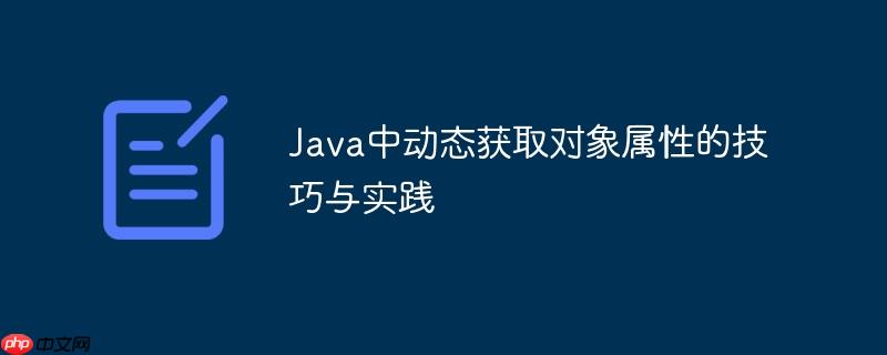 Java中动态获取对象属性的技巧与实践