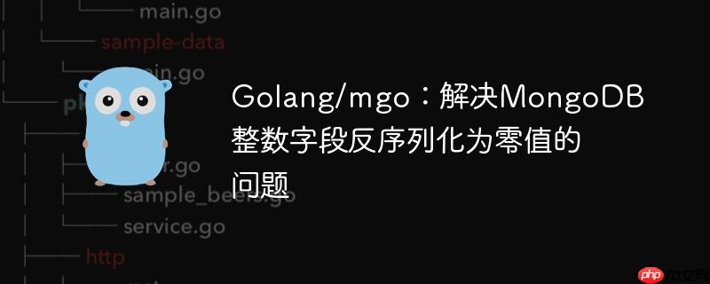 Golang/mgo:解决MongoDB整数字段反序列化为零值的问题