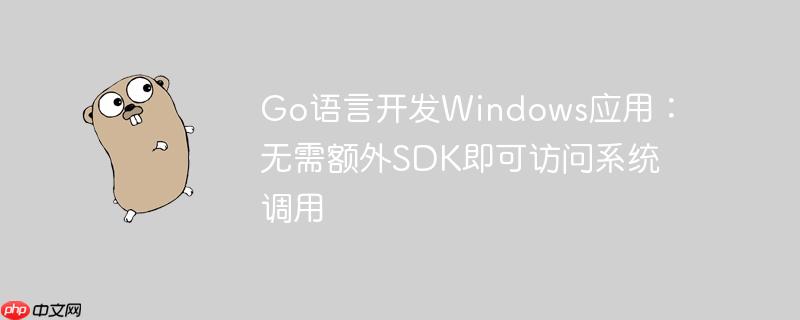 Go语言开发Windows应用:无需额外SDK即可访问系统调用