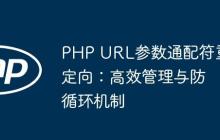 PHP URL参数通配符重定向：高效管理与防循环机制