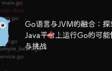 Go语言与JVM的融合：探索在Java平台上运行Go的可能性与挑战