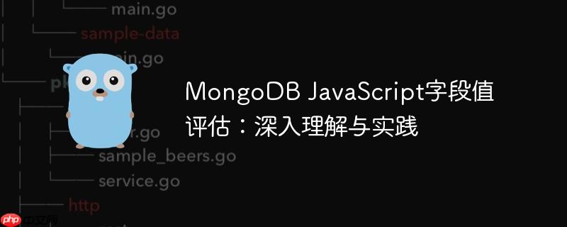 MongoDB JavaScript字段值评估：深入理解与实践