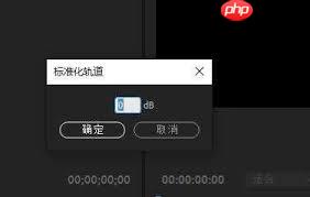 Pr如何添加标准化轨道
