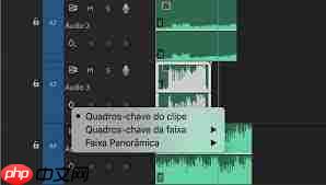 Pr如何添加标准化轨道