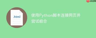 使用Python脚本连接网页并尝试组合