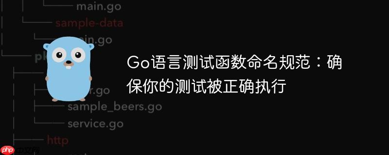 Go语言测试函数命名规范：确保你的测试被正确执行