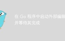 在 Go 程序中启动外部编辑器并等待其完成