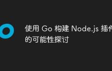 使用 Go 构建 Node.js 插件的可能性探讨