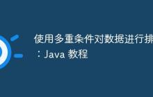 使用多重條件對(duì)數(shù)據(jù)進(jìn)行排序：Java 教程