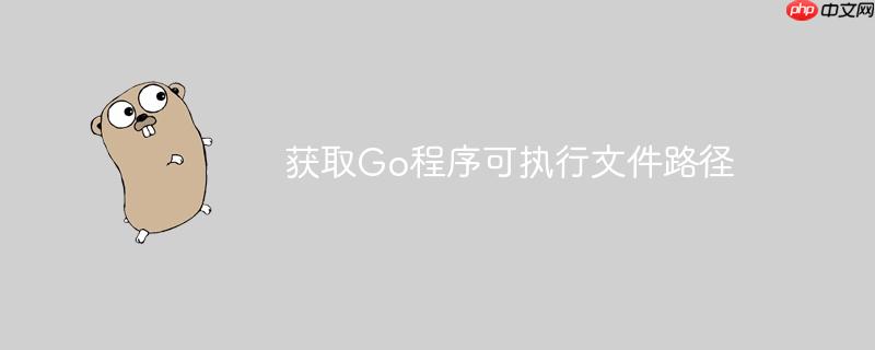 获取go程序可执行文件路径