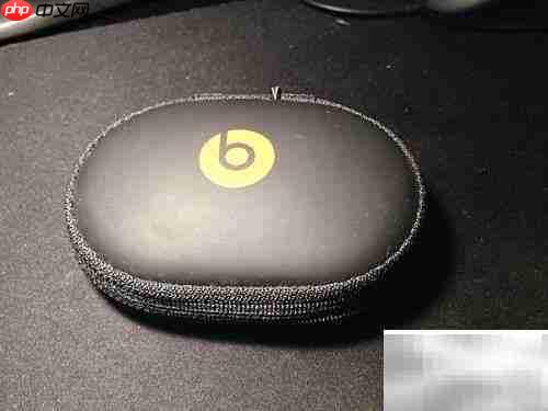 Beats Powerbeats2开箱体验