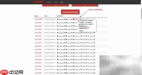 Minecraft正版Forge安装指南