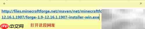 Minecraft正版Forge安装指南