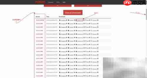 Minecraft正版Forge安装指南